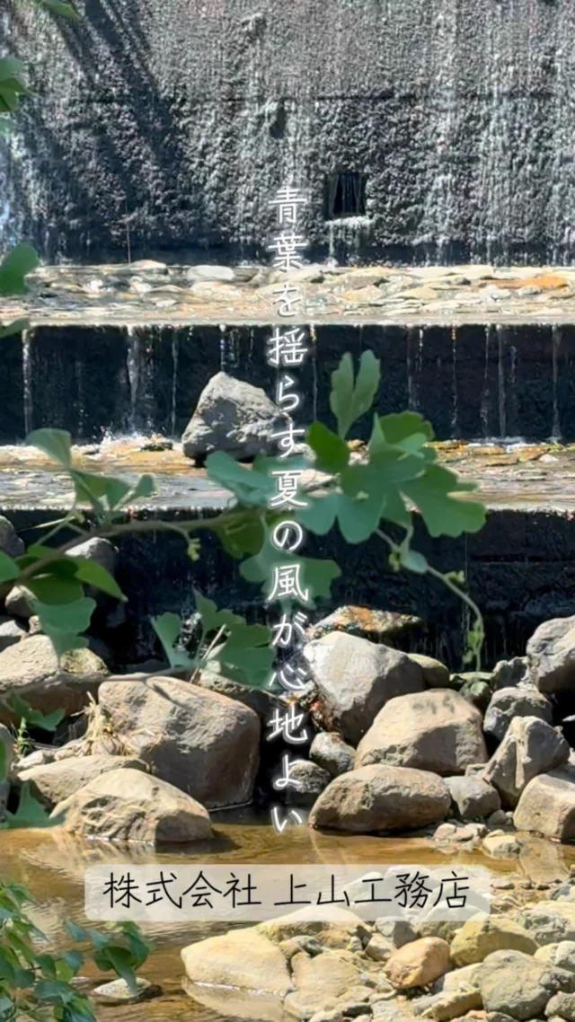 【不動産売物件】
明治7年建築
古き良き日本家屋のぬくもり感じる木造物件を
和モダンにリフォーム済み

🏠京都府与謝郡与謝野町字与謝にある2階建
11LDKの物件
※詳細はプロフィールリンク（不動産物件）より👀
🔗athome.co.jp/kodate/
＿＿＿＿＿＿＿＿＿＿＿＿＿＿＿＿＿＿＿＿＿＿＿＿＿＿＿＿
TEL:0772-42-3443 （9:00～17:30）
住所：京都府与謝郡与謝野町字三河内 13番地
⚠️夏季休業 8/9～8/17
※お問合せはDM、メールよりお問合せ下さい🙇‍♀️
＿＿＿＿＿＿＿＿＿＿＿＿＿＿＿＿＿＿＿＿＿＿＿＿＿＿＿＿
#上山工務店#与謝野町不動産#京都府北部#京都北部物件#京都北部売物件#田舎#田舎暮らし#田舎暮らしがしたい#田舎暮らし物件#田舎暮らし最高#田舎風景#物件リフォーム済#明治建築#癒される暮らし#京丹後市不動産#アットホーム